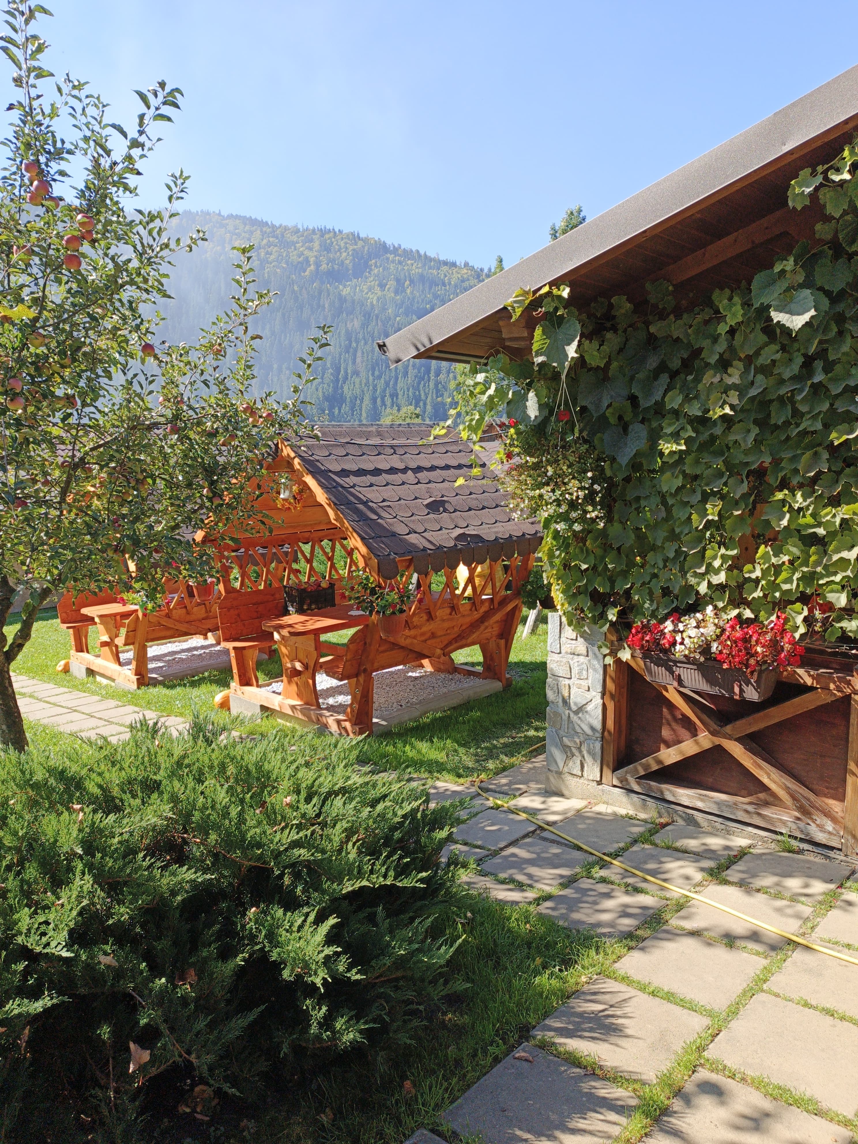 Punct Gastronomic - Vedere